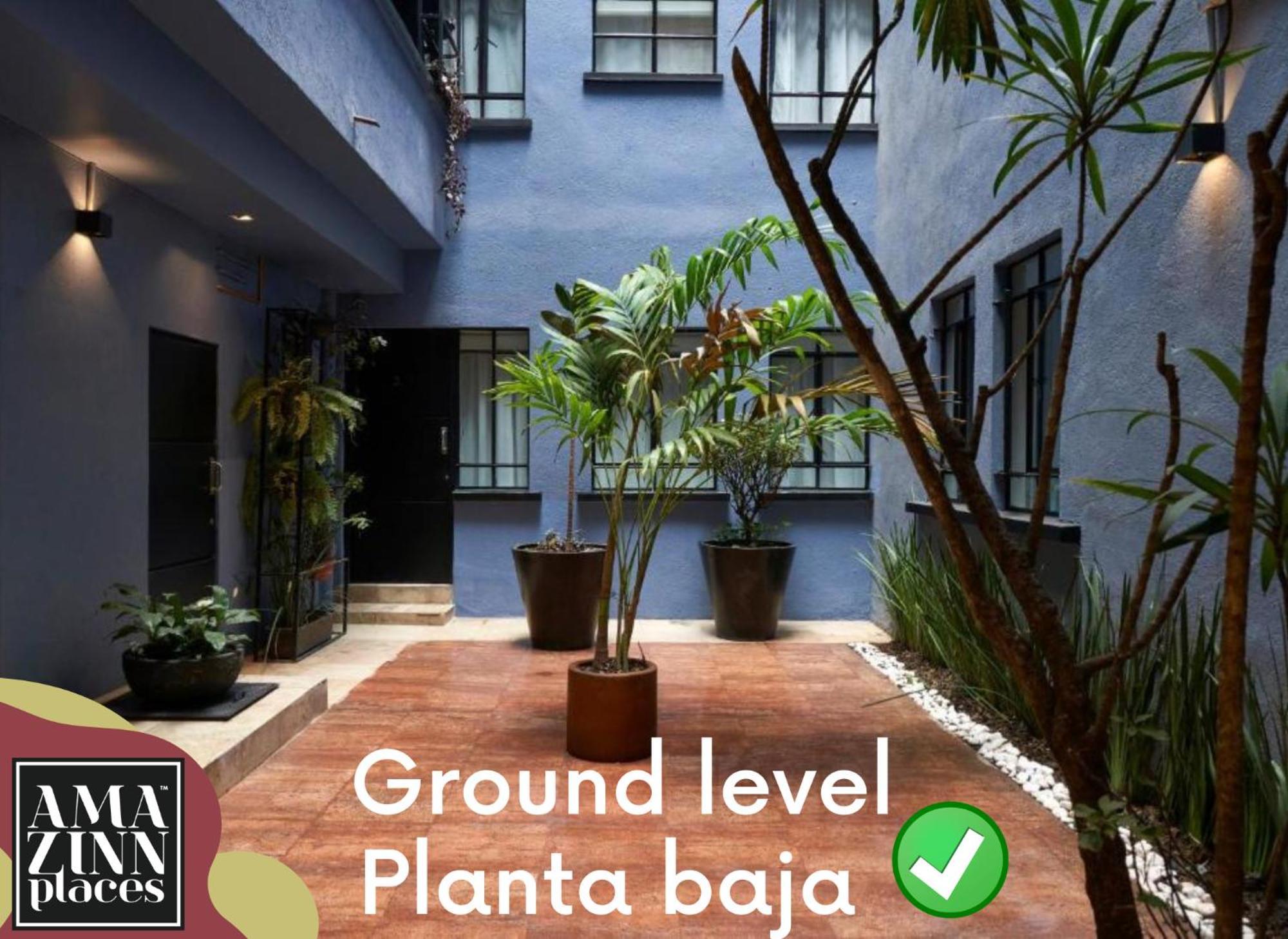 Amazinn Places La Condesa Roma Meksyk Zewnętrze zdjęcie